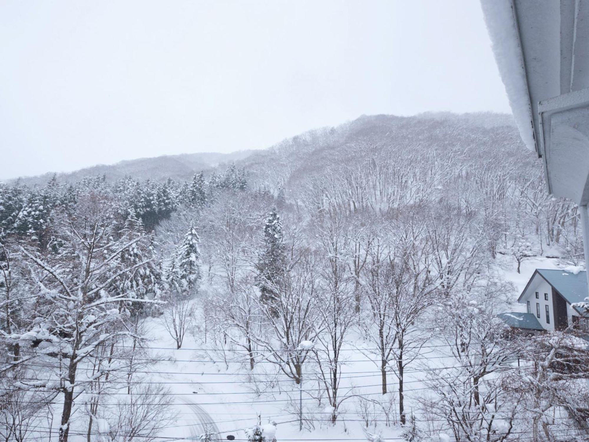 Hotel Abest Happo Aldea Hakuba Extérieur photo