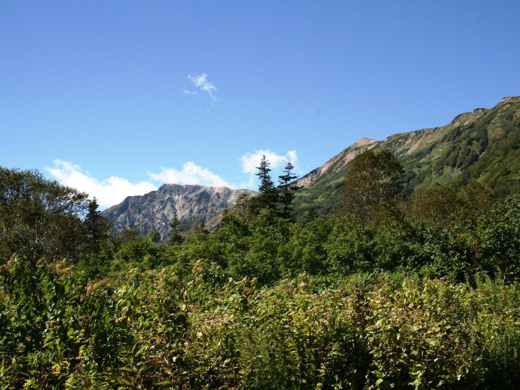 Hotel Abest Happo Aldea Hakuba Extérieur photo