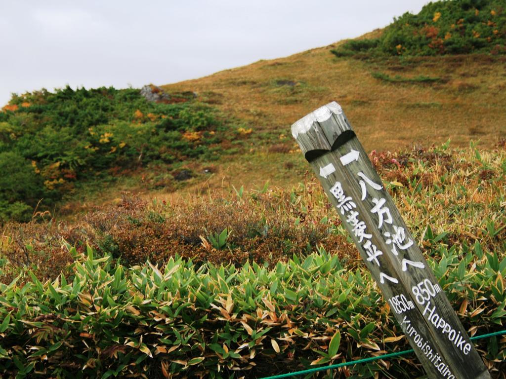 Hotel Abest Happo Aldea Hakuba Extérieur photo